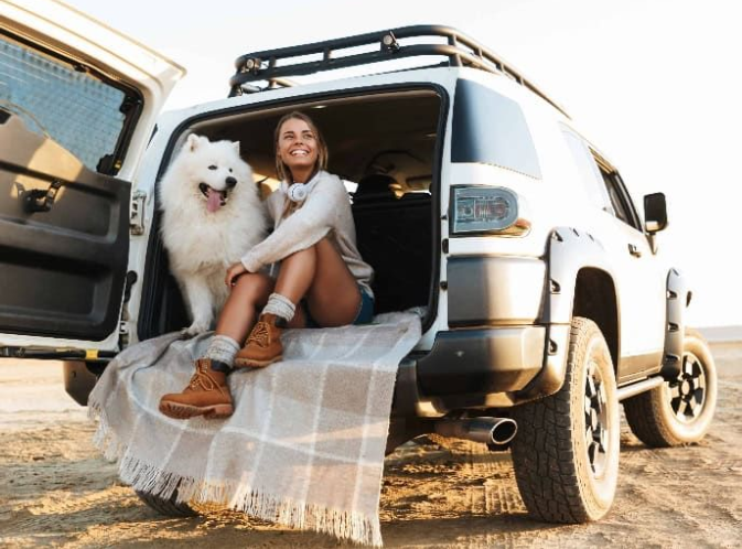 What If You're Traveling To Goa With a Pets What If You're Traveling To Goa With a Pets