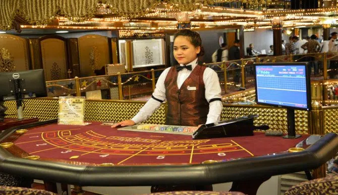 Why Casinos in Goa Don't Allow Pets
